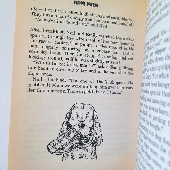 Book Collection - Picture 11 of 12